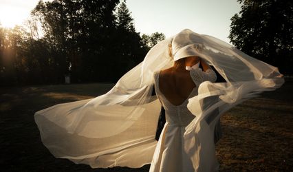LP Wedd