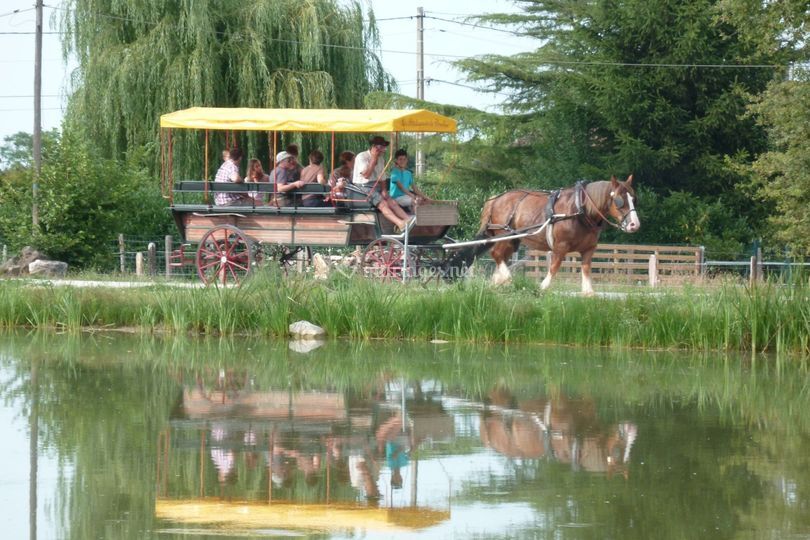 Les Attelages de la Dombes
