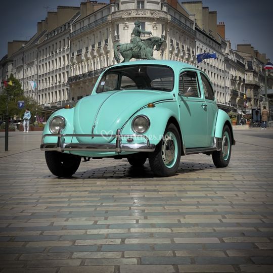 L'intention Vintage
