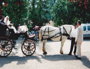 Les Attelages Dompierrois