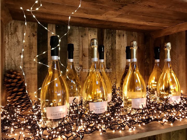 Bulles de Charlotte