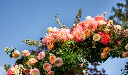 Things to Bloom