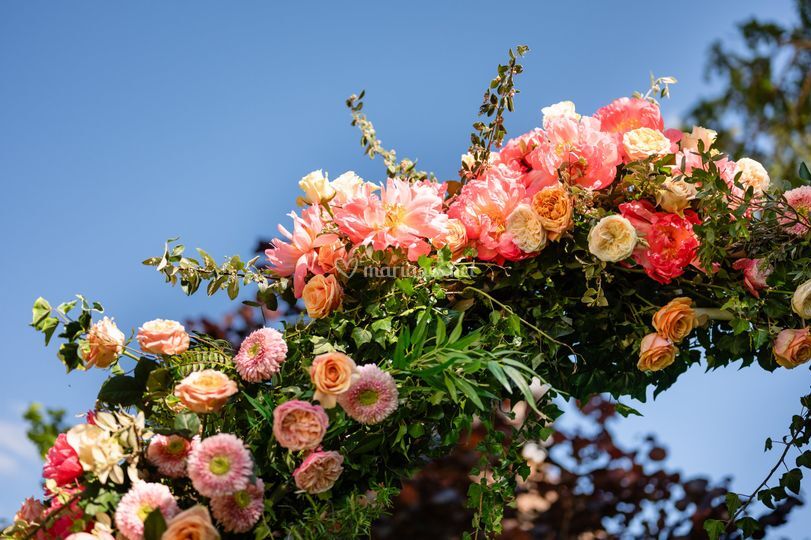 Things to Bloom