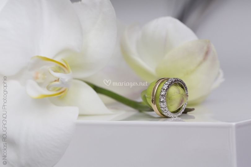 Nicolas Rougagnou Photographie