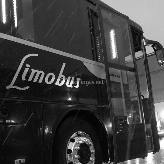 Partybus