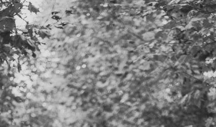 BowTie Photography