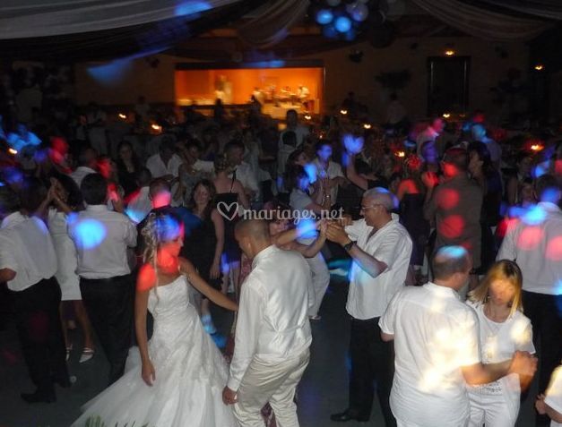 Light Party Animation