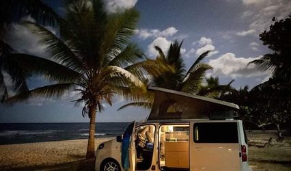 Tropical Van