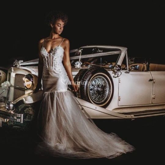 Dream Day Limousine