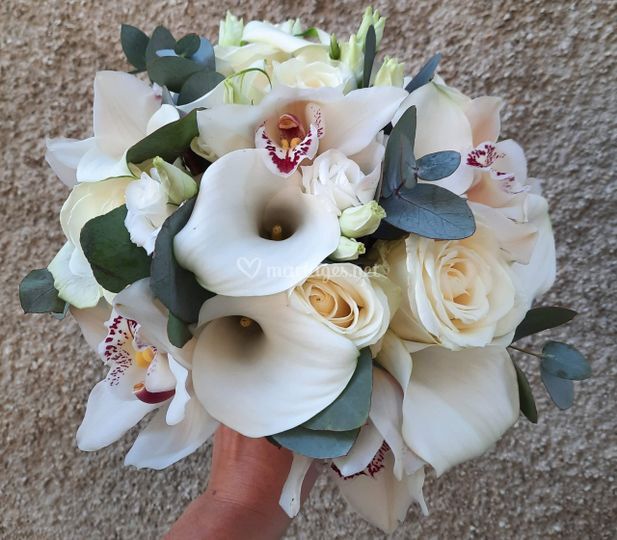 A l'Aube des Fleurs