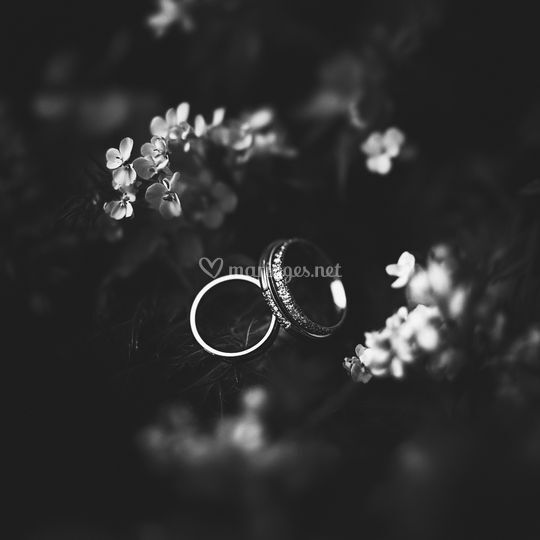 Marek Photography