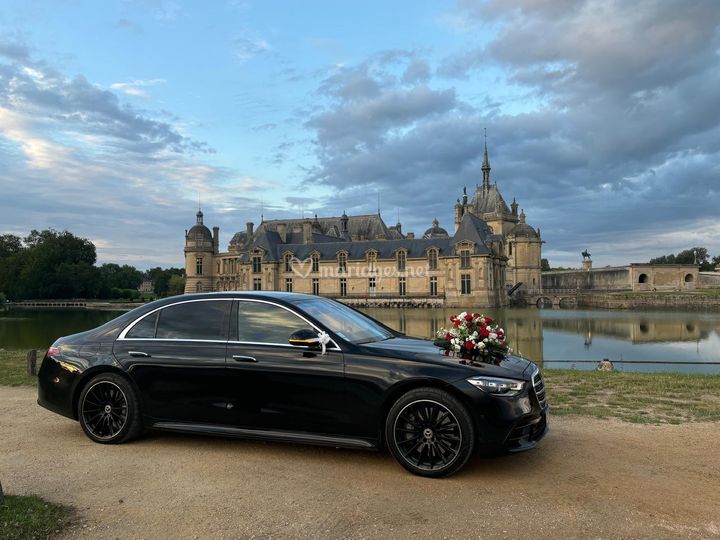 Eleven Limousines