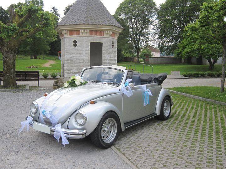 Cox Cabriolet