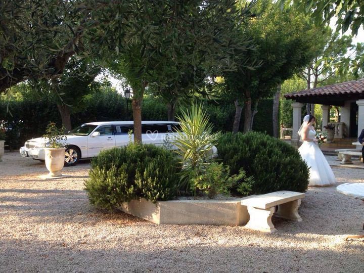 Avignon Luxury Limousine