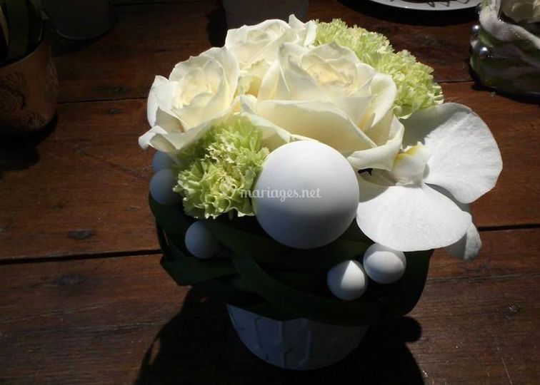 Les Plus Belles Fleurs