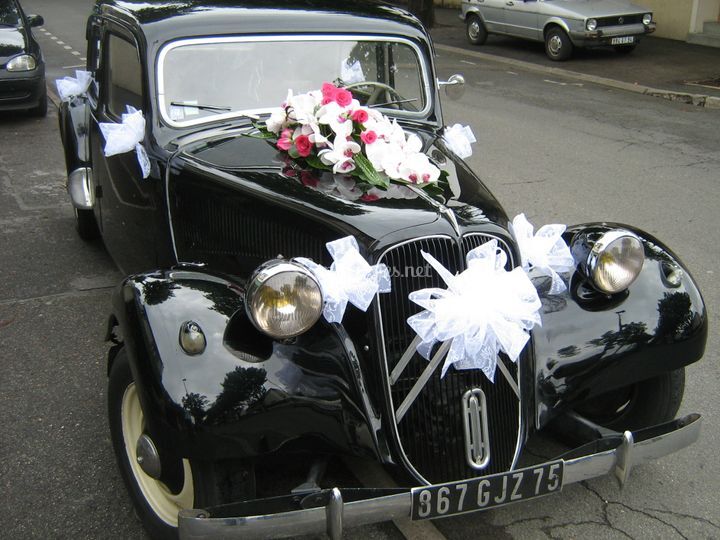 Clotilde Fleurs
