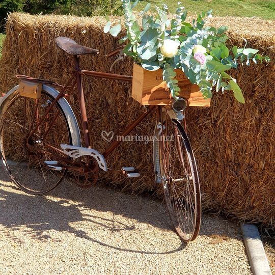 Mariage Création