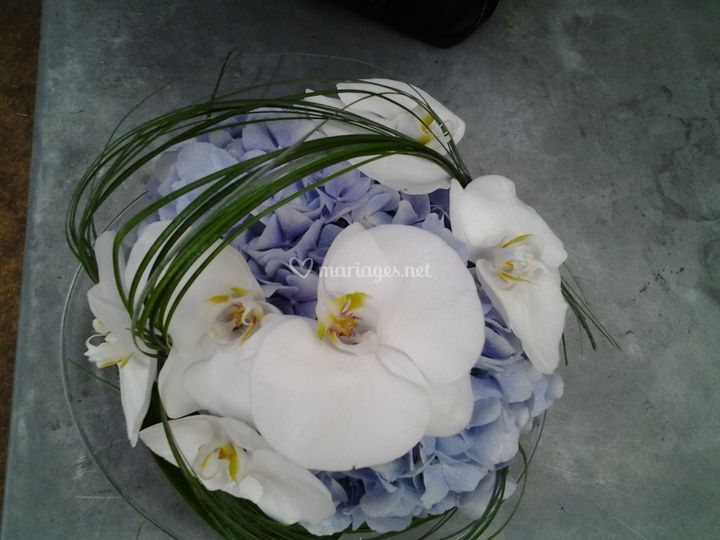 Floralys