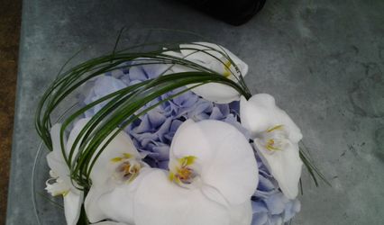 Floralys