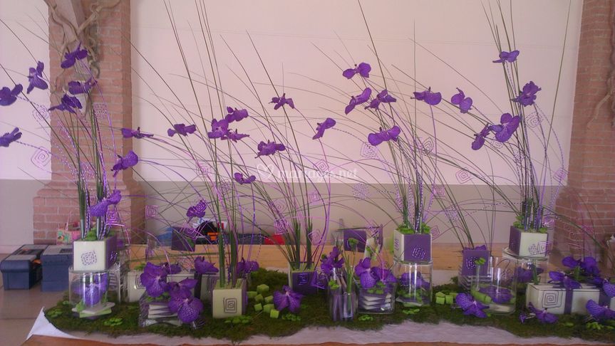 Le Temps des Fleurs