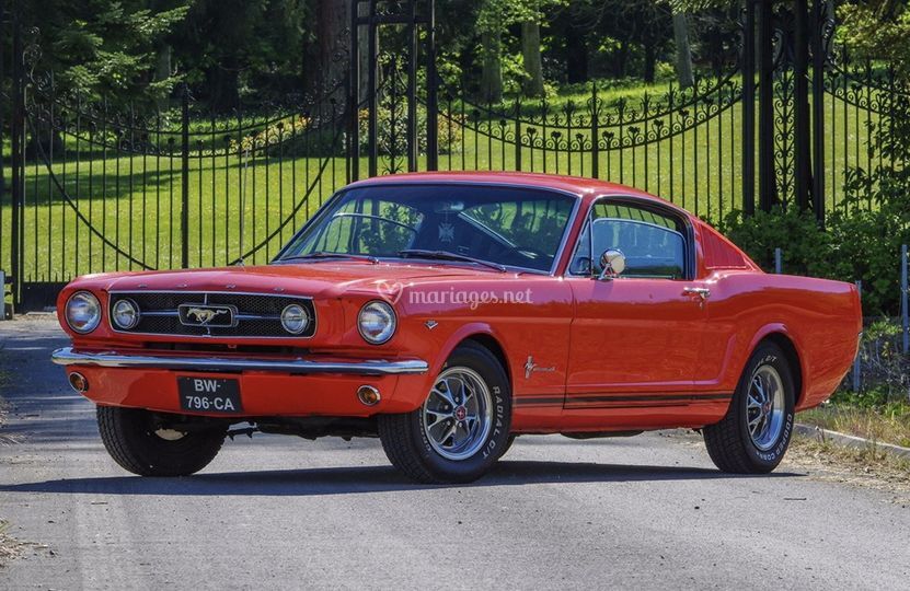 Mustang Wedding