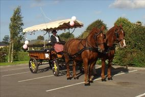 cherbourg voiture mariage