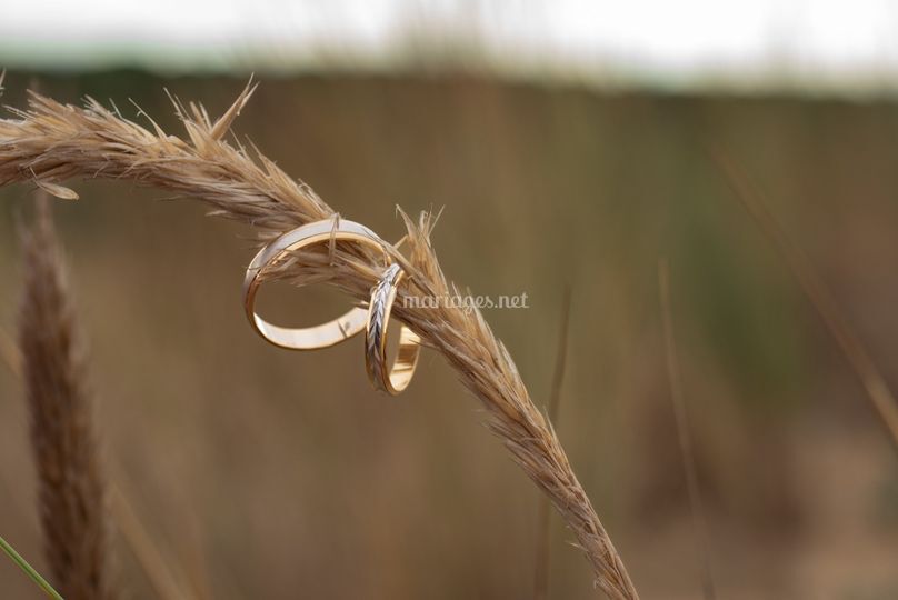 Virginie Photographie