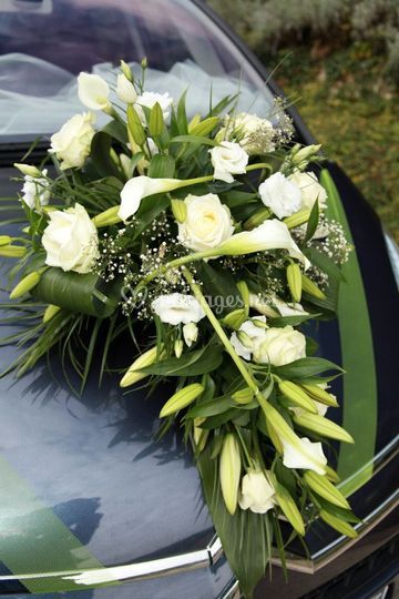 Passion Fleurs