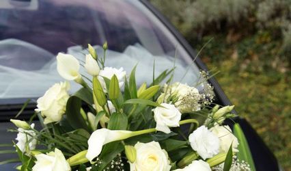 Passion Fleurs