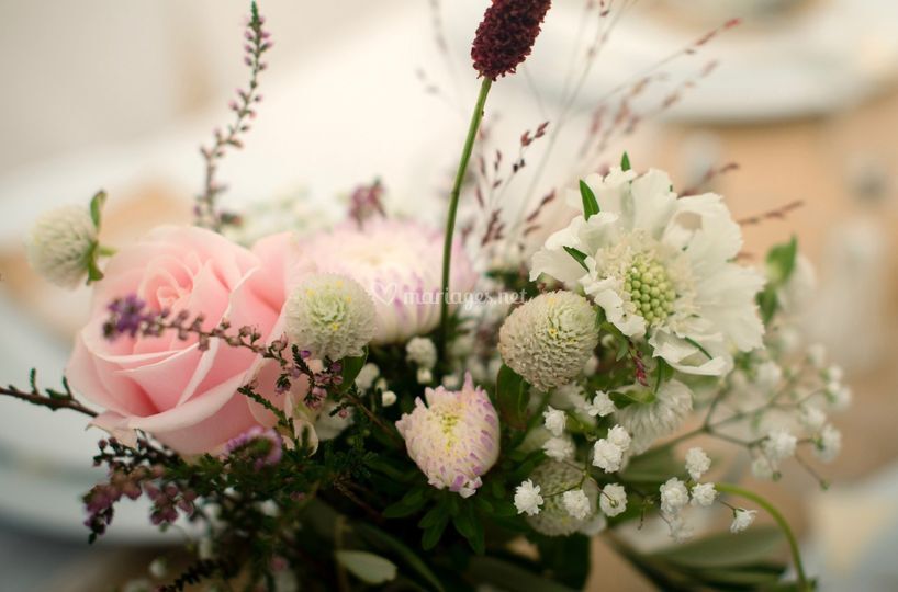 15 au jardin