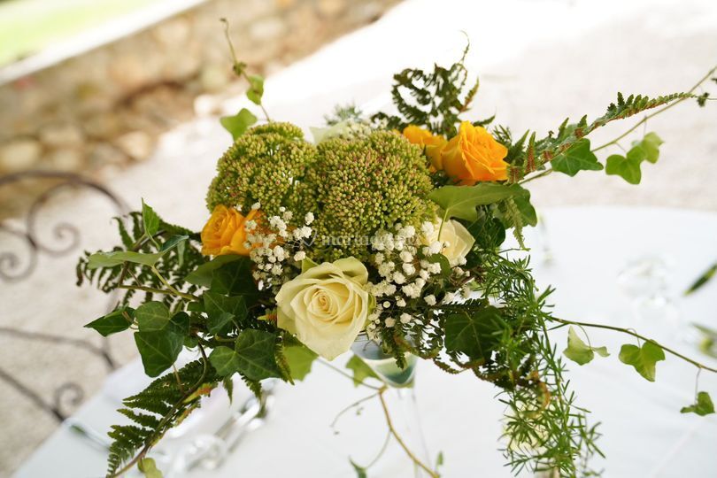 Eclosion Florale