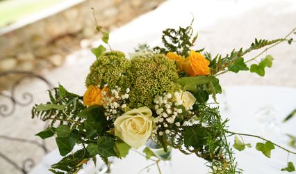 Eclosion Florale