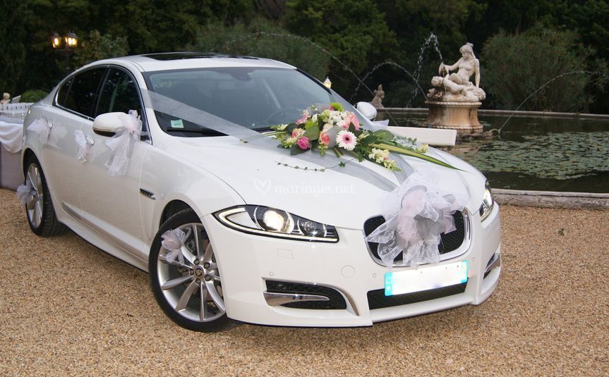 Eurl Remy Jaguar