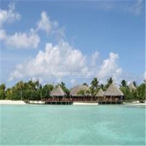 Tonic Tourisme