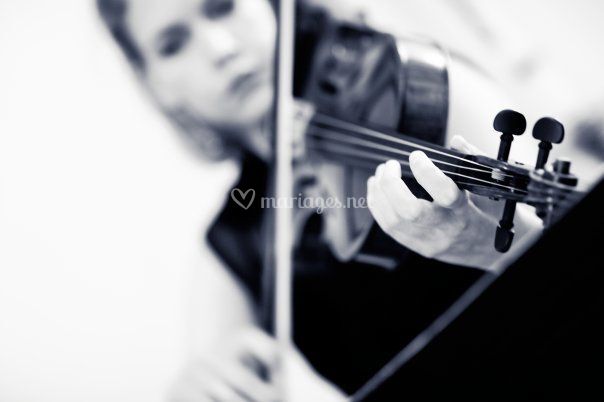 Laura Springham - Violoniste