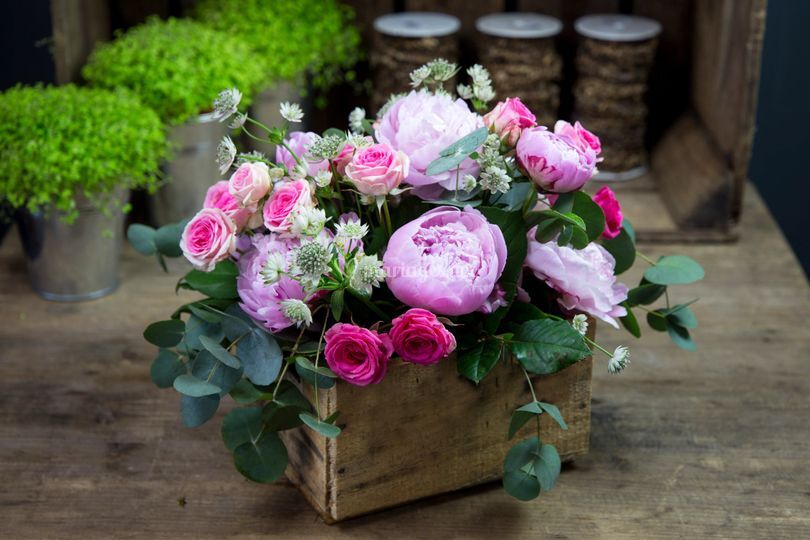 Atelier Rose Pivoine