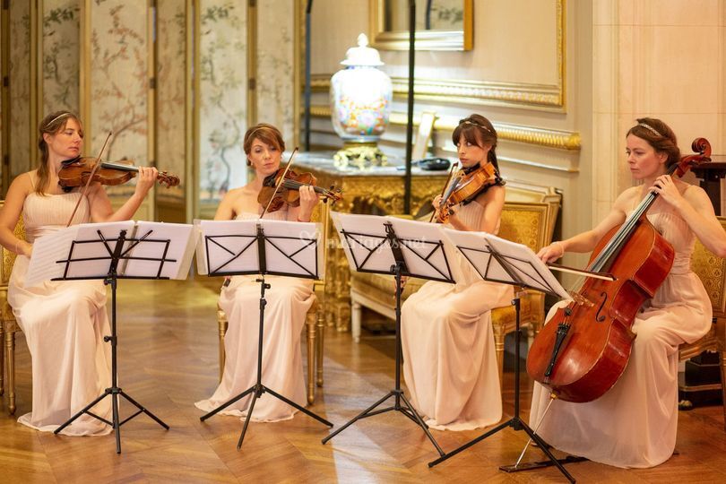 Ivana String Quartet