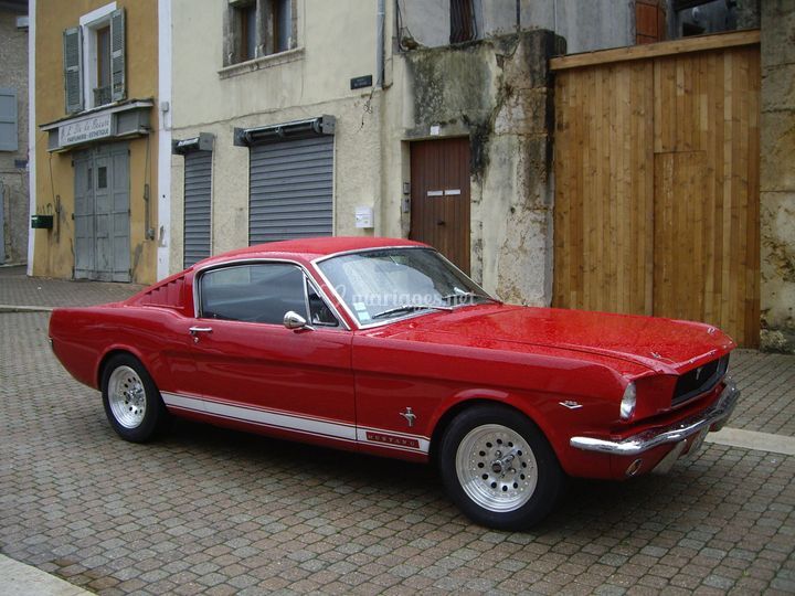 Mustang à louer