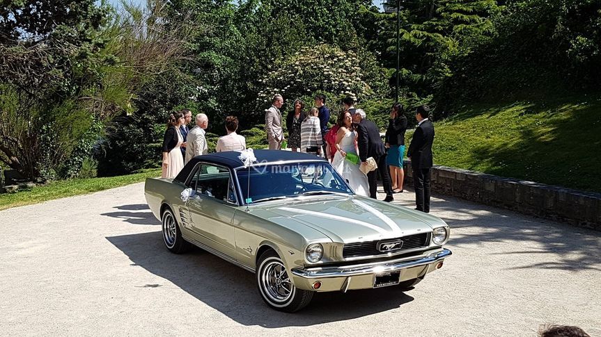 Mustang66