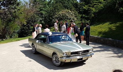Mustang66