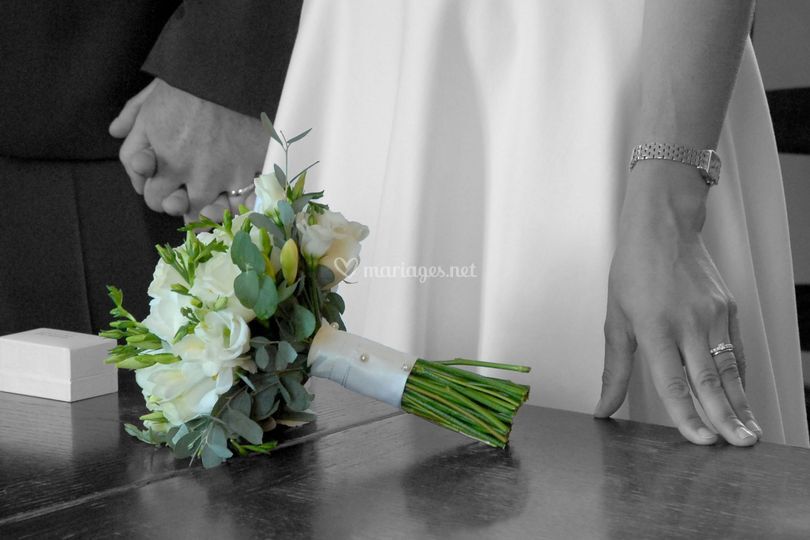 Lilyphotographie