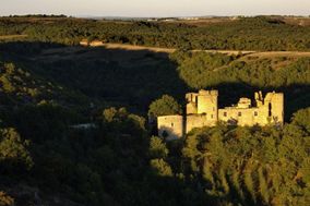 Château de Roussillon