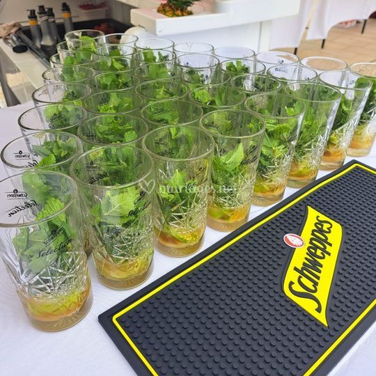Tendance Drinks