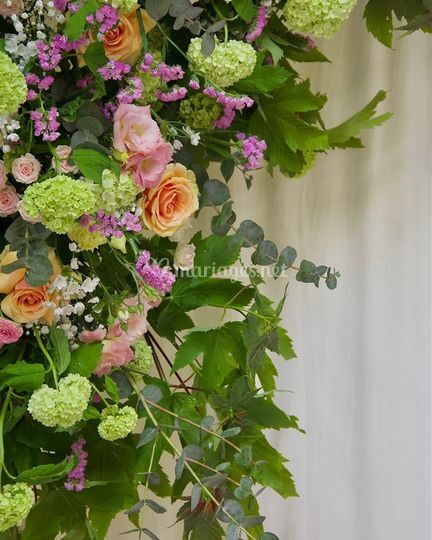 Fleurs Marie-Thé