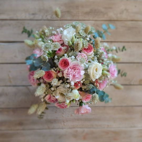 Pivoine et Capucine