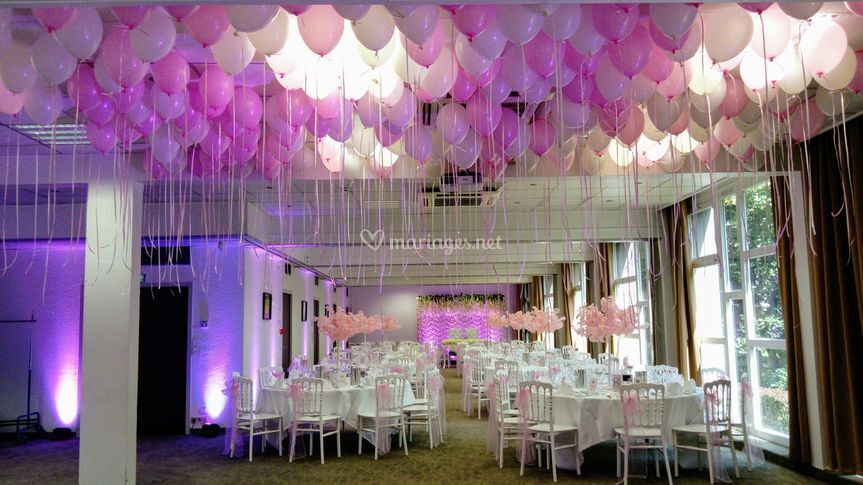 Decoration de plafond 9