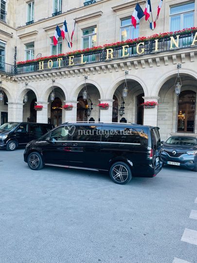 Silvercarparis