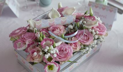 Colorcom Events Planner