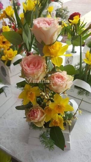 Fleur d´Arum