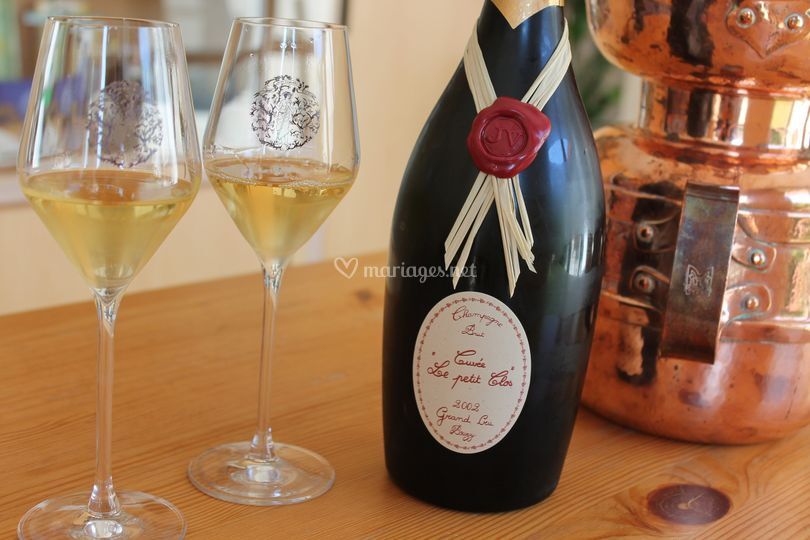 In Vino Bacchetta